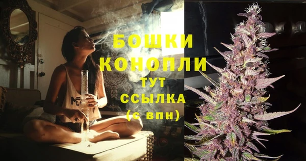 spice Абаза
