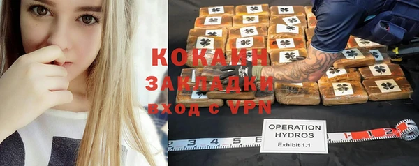 твердый Абинск