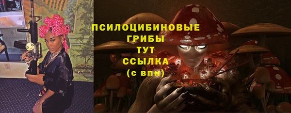 spice Абаза