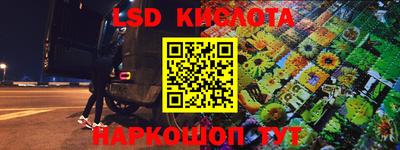 мдпв Гусев