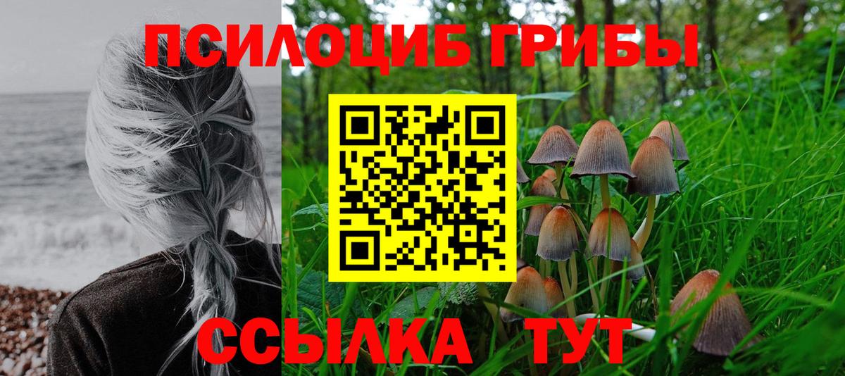 Галлюциногенные грибы GOLDEN TEACHER Шарыпово