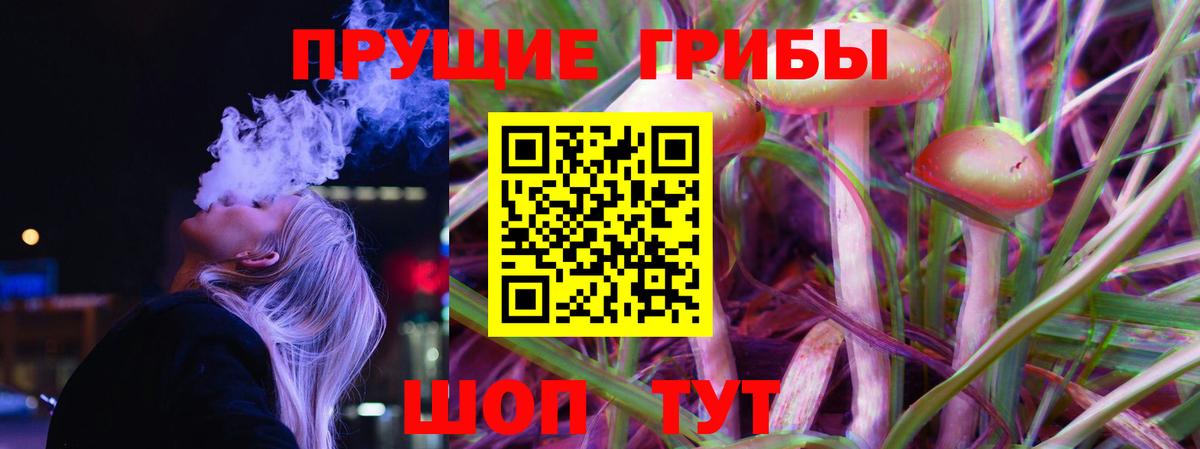 Галлюциногенные грибы прущие грибы  Вход с VPN  Шарыпово 